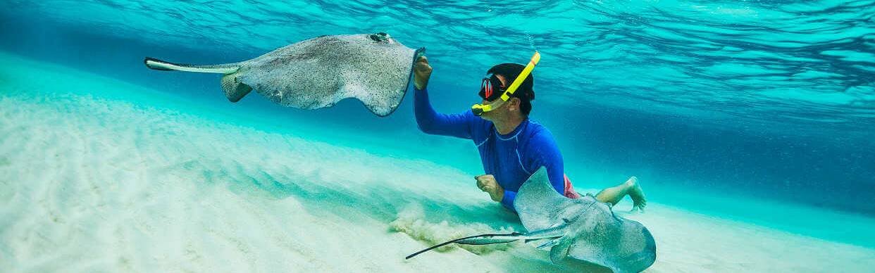 Die besten Monate zum Tauchen auf den Gili Inseln sind Mai und Juni