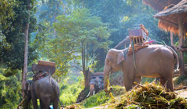 Thailand Rundreisen – individuell und abwechslungsreich. Jetzt buchen