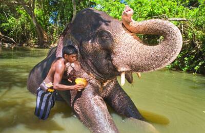 Die beste Wahl für Ihren nächsten Urlaub – Sri Lanka Länderkombination.