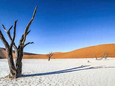 Reiseangebote Namibia: Atemberaubende Landschaften, Safaris und unberührte Natur entdecken