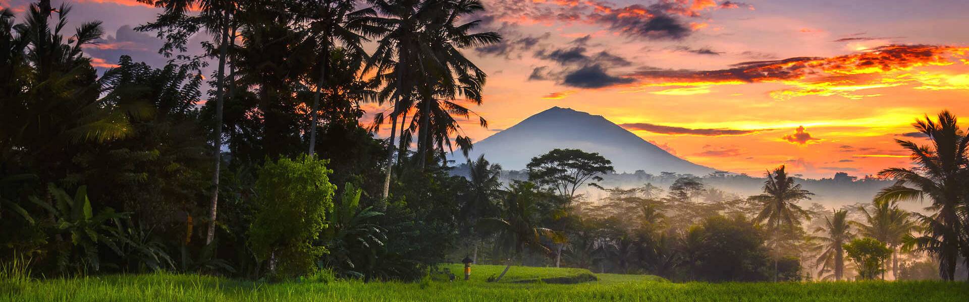 In der Nähe von Ubud  befinden sich viele Sehenswürdigkeiten wie der Monkey Forest, die Königsgräber von Gunung Kawi und die Elefantenhöhle Goa Gajah