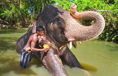 Sehen Sie mehr von Sri Lanka – mit unserer beliebten Länderkombination. Die beste Wahl für Ihren nächsten Urlaub – Sri Lanka Länderkombination.