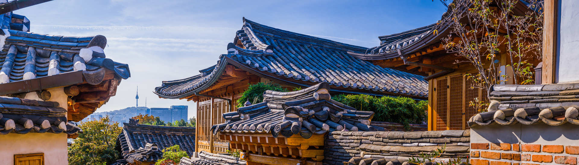 Frühlingslandschaft in Südkorea mit blühenden Kirschbäumen und traditionellen koreanischen Häusern mit blauen Dächern.