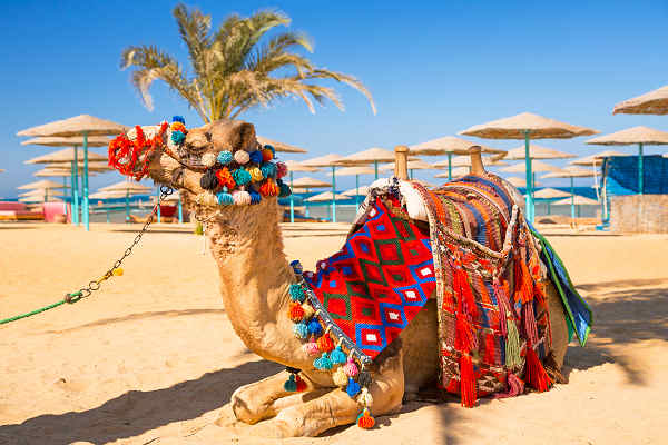 Erholung pur am Strand von Hurghada. Tauchen Sie ein in die Welt des Roten Meeres.