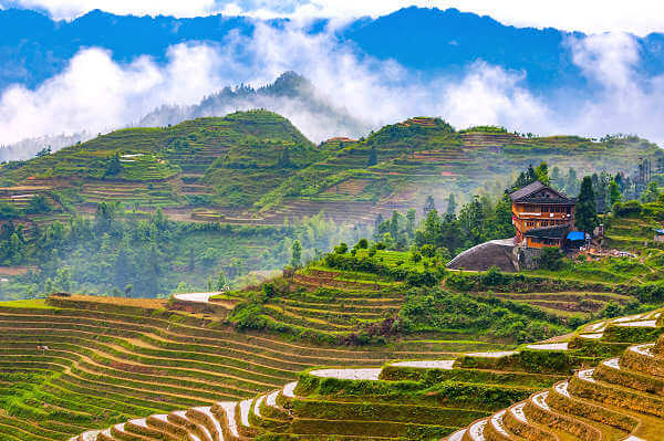 Bei der Stadt Longsheng in der Nähe von Guilin, befinden sich die höchstgelegenen Reisterrassen der Welt