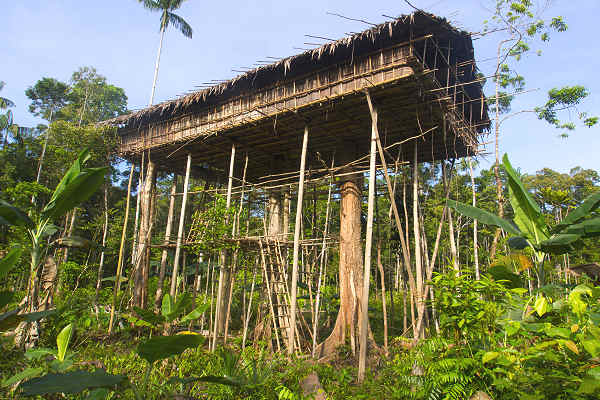 Traditionelles Leben in Papua: Dörfer und Stammeskulturen