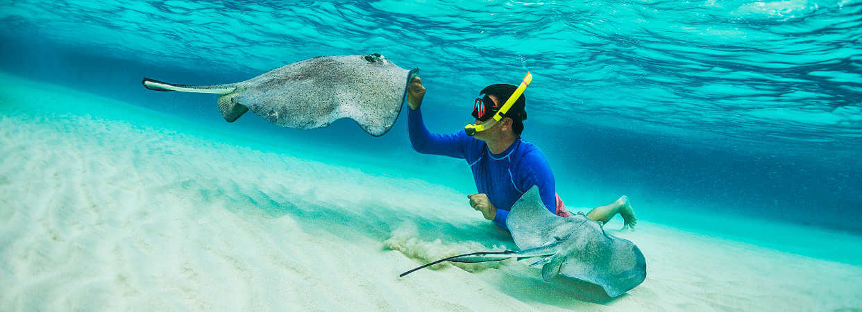 Die besten Monate zum Tauchen auf den Gili Inseln sind Mai und Juni