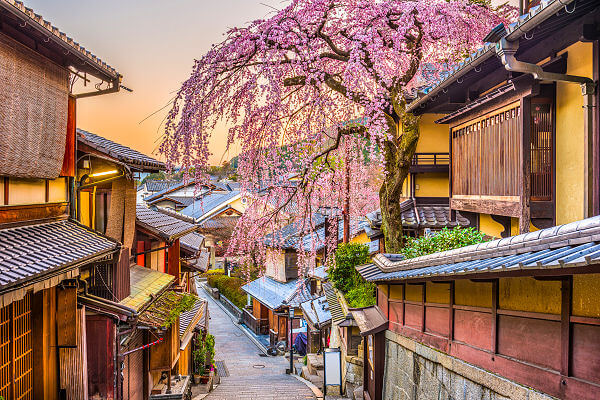 Erleben Sie die faszinierenden Naturlandschaften des Landes auf Ihrer Japan Reise.