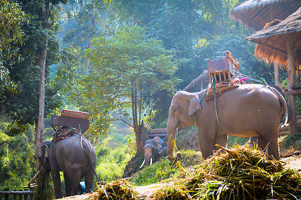 Thailand Rundreisen – individuell und abwechslungsreich. Jetzt buchen