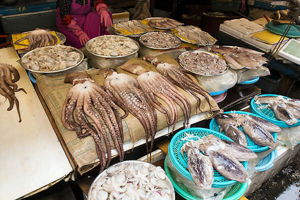 Jagalchi Fischmarkt Südkorea - der größte und beliebteste Fischmarkt in Südkorea