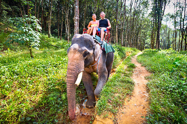 Ein unvergessliches Erlebnis für die ganze Familie – Elefantencamp auf Koh Chang