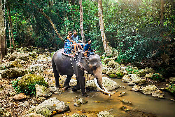 Entdecke die Schönheit von Koh Samui auf einer Elefantenreittour
