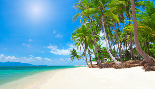 Koh Samui und ihre palmengesäumten Traumstrände ist eine der schönsten Inseln von Thailand
