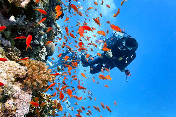 Ein Taucher erkundet die Korallenriffe und das bunte Meeresleben vor der Küste von Koh Lipe, Thailand