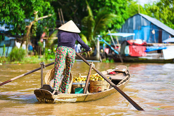 Bild einer beeindruckenden Landschaft im Mekong-Delta, wo grüne Reisfelder und Wasserwege sich durch die fruchtbare Region schlängeln