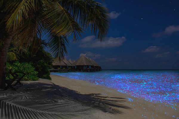 Biolumineszierendes Plankton auf den Malediven, die beste Zeit es auf den Inseln Mudhdoo, Vaadhoo und Rangali zu erleben ist von Juli bis Februar