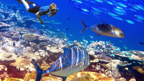 Erleben Sie unvergessliche Ferien auf der paradiesischen Insel Mauritius und buchen Sie jetzt!