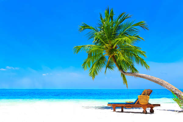 Die schönsten Seychellen Reisen von AsiaGo – jetzt günstigen Urlaub buchen.