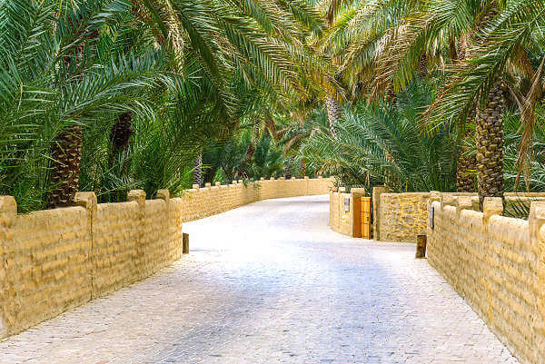 Al Ain die Gartenstadt und Wüstenoase in der Wüste Abu Dhabis