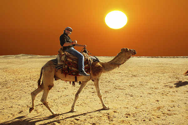 Erleben Sie die Wüste Abu Dhabis auf einer Kamelsafari mit atemberaubenden Ausblicken und traditionellen Aktivitäten wie Bauchtanz und Shisha-Rauchen.