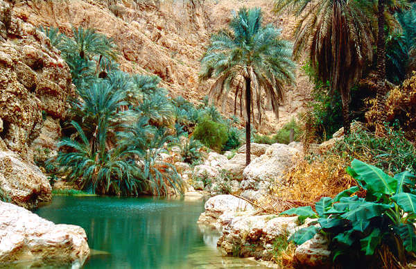Wadi Shab ist eine felsige Schlucht mit smaragdfarbenen Wasserlöchern im Oman im Hadschar Gebirge