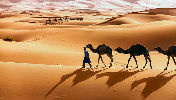 Sanddünen in der Wüste Marokkos, ein unvergessliches Abenteuer auf Marokko-Reisen.