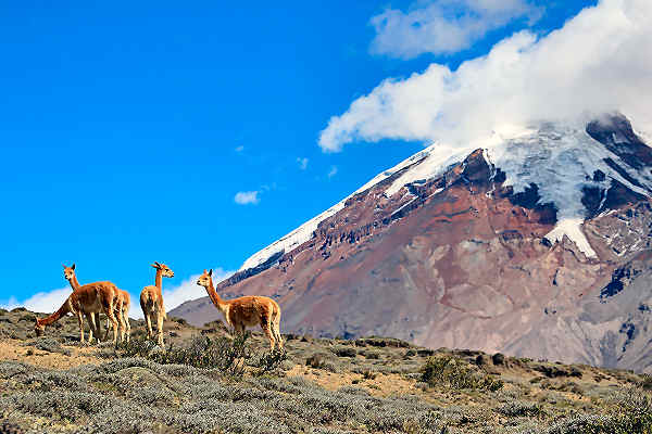 Südamerika Reisen - Abenteuerliches Trekking und Wandern in den Anden