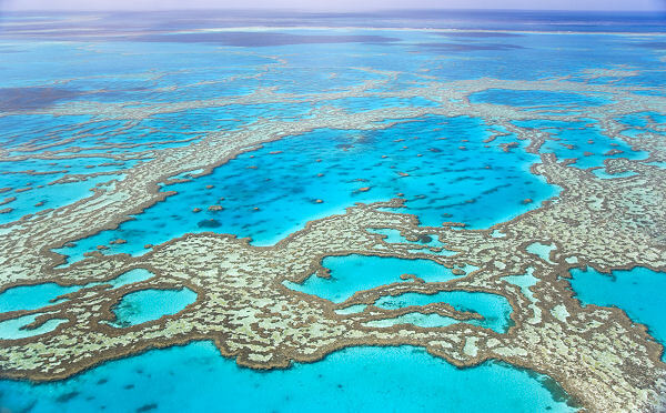 Auf einer Australien Rundreise kannst du das Great Barrier Riff, eines der sieben Weltwunder, hautnah erleben